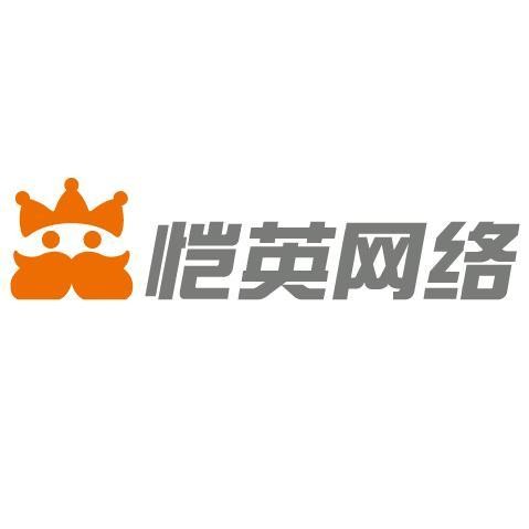 上海愷英網絡科技有限公司